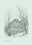 Загадки леса — фото, картинка — 19