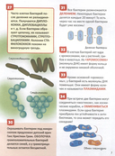 Микромир. Энциклопедия российского школьника — фото, картинка — 2