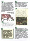 Микромир. Энциклопедия российского школьника — фото, картинка — 3