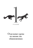 Лисы не строят нор — фото, картинка — 12