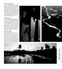 Свет и освещение в цифровой фотографии — фото, картинка — 18