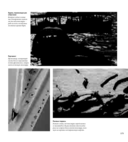 Свет и освещение в цифровой фотографии — фото, картинка — 24