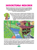 Мексиканская кухня в иллюстрациях — фото, картинка — 7