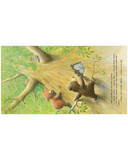 Секрет храброго медвежонка — фото, картинка — 13