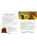 Дедушкины сказки для чтения перед сном — фото, картинка — 10