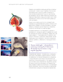 Большая книга цветных карандашей. Полное руководство по работе с нуля — фото, картинка — 10