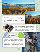 Окружающий мир. Растения и грибы — фото, картинка — 15