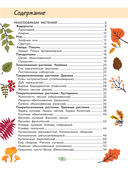 Окружающий мир. Растения и грибы — фото, картинка — 7