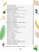 Окружающий мир. Растения и грибы — фото, картинка — 8