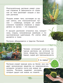 Окружающий мир. Растения и грибы — фото, картинка — 11