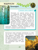 Окружающий мир. Растения и грибы — фото, картинка — 12