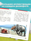 Бемби и другие сказки о животных — фото, картинка — 4