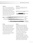 Учимся рисовать за 6 недель. Материалы, техники, идеи — фото, картинка — 5
