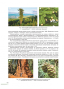 Ботаника — фото, картинка — 4