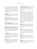 Сам себе нутрициолог. Практическое руководство по питанию на 14 дней от Александры Лемперт — фото, картинка — 14