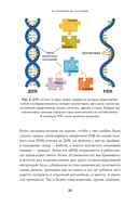 От пробирки до кастрюли. Как ученые разрабатывают продукты, которые мы едим каждый день — фото, картинка — 15