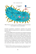 От пробирки до кастрюли. Как ученые разрабатывают продукты, которые мы едим каждый день — фото, картинка — 26