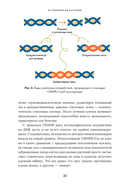 От пробирки до кастрюли. Как ученые разрабатывают продукты, которые мы едим каждый день — фото, картинка — 27