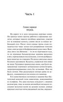 Прогулка — фото, картинка — 4