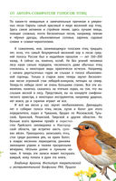 Певчие птицы. Средняя полоса европейской части России. Определитель с голосами птиц — фото, картинка — 7