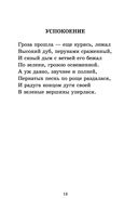 Русская поэзия XIX века — фото, картинка — 12