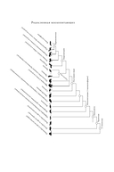 Эра млекопитающих. Из тени динозавров к мировому господству — фото, картинка — 11
