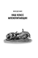 Эра млекопитающих. Из тени динозавров к мировому господству — фото, картинка — 13