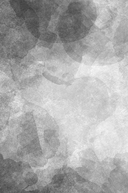 Эра млекопитающих. Из тени динозавров к мировому господству — фото, картинка — 14