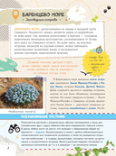 Уникальная Россия — фото, картинка — 5