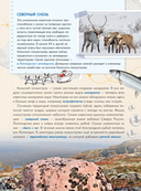 Уникальная Россия — фото, картинка — 10