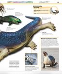 Динозавры. Самая полная современная энциклопедия — фото, картинка — 12