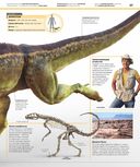 Динозавры. Самая полная современная энциклопедия — фото, картинка — 16