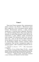 Пионовый фонарь — фото, картинка — 3