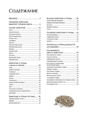 Вышиваем пушистых животных турецким швом — фото, картинка — 1