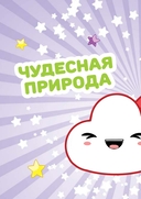 Как нарисовать кавайных персонажей. Сиба-ину, русалка, единорог и еще 20 милых эскизов — фото, картинка — 2