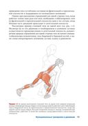 Анатомия функциональных тренировок — фото, картинка — 12