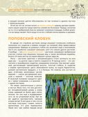 Загадочный мир белорусской природы. Тайная жизнь растений — фото, картинка — 5