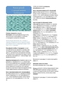 Объемные косы и жгуты. Вяжем крючком — фото, картинка — 2