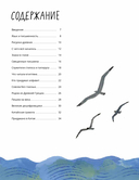 Буквы, слова, книги. История письменности — фото, картинка — 1