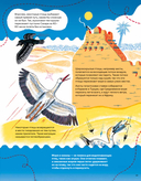 Невероятные странствия животных. Навигация и миграция по воздуху, суше и морю — фото, картинка — 14