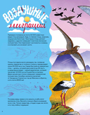 Невероятные странствия животных. Навигация и миграция по воздуху, суше и морю — фото, картинка — 5