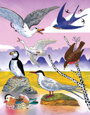 Невероятные странствия животных. Навигация и миграция по воздуху, суше и морю — фото, картинка — 6