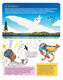 Невероятные странствия животных. Навигация и миграция по воздуху, суше и морю — фото, картинка — 7