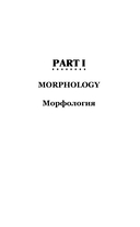 Английская грамматика за 3 месяца. Интенсивный курс — фото, картинка — 14
