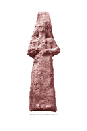 Магия и медицина Древней Месопотамии — фото, картинка — 3