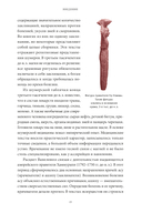 Магия и медицина Древней Месопотамии — фото, картинка — 8