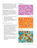 Бисер. Самое полное и понятное пошаговое руководство для начинающих — фото, картинка — 20