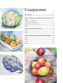 Рисуем овощи и фрукты. Пошаговое руководство по рисованию акварелью — фото, картинка — 1