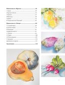 Рисуем овощи и фрукты. Пошаговое руководство по рисованию акварелью — фото, картинка — 2