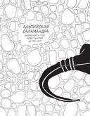 Забавные факты о детёнышах животных в картинках — фото, картинка — 23